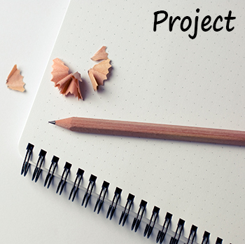 Texas Lesson Study Project Link